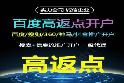 某行业巨头背后的SEM代运营托管公司
